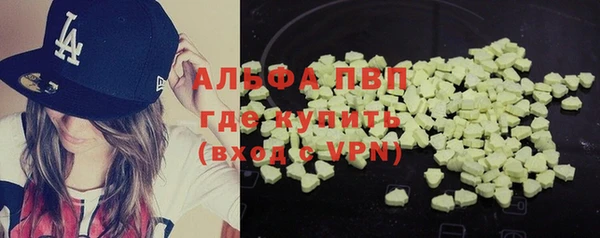 сатива Армянск