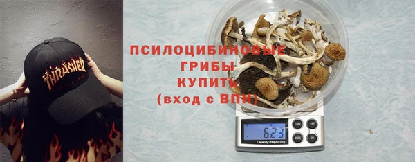 сатива Армянск