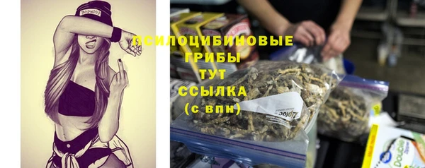 сатива Армянск