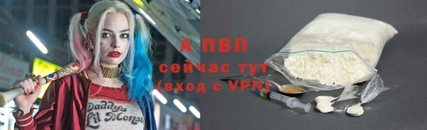 сатива Армянск