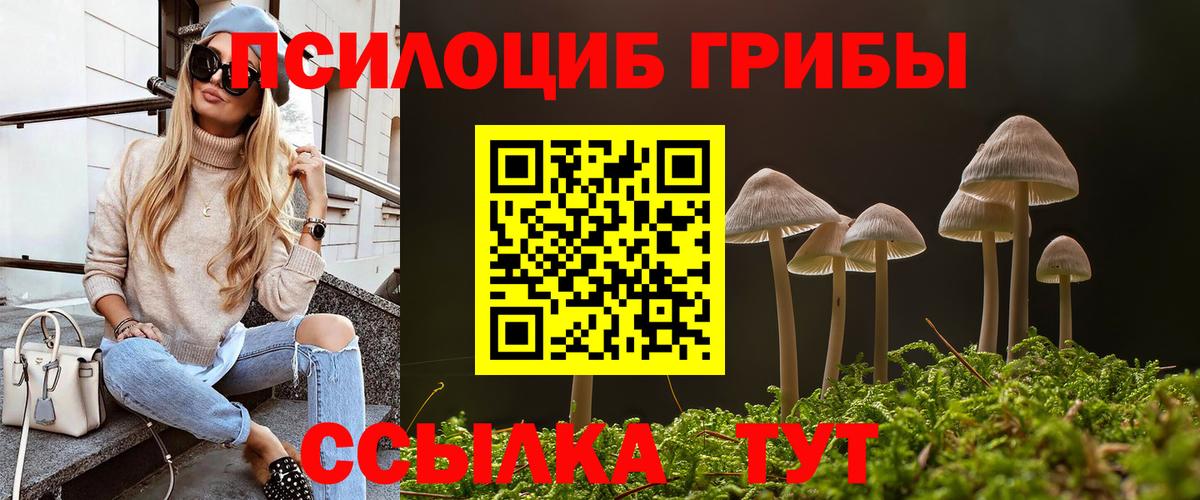 Псилоцибиновые грибы мицелий Мытищи