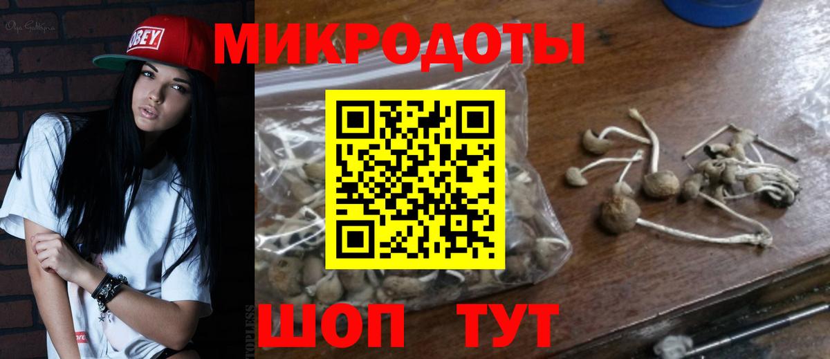 Галлюциногенные грибы мицелий  Псилоцибиновые грибы MAGIC MUSHROOMS  Вход с VPN  Мытищи 